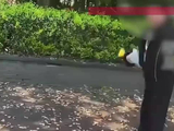 画面令人胆战心惊！男子拽两孩子胳膊疯狂转圈，女孩发声求饶，网友：后悔就晚了