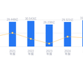 中京电子的前世今生：负债率61.56%高于行业平均，毛利率16.94%低于同类3.64个百分点