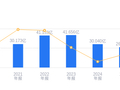 赛伍技术的前世今生：营收行业排名11，净利润排名15，非光伏材料业务成新增长极