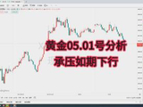 20260501黄金行情分析