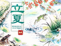 立夏：少了蛙鸣，不只少了热闹，蛙们撑起了城市生态之腰｜新民·新七十二候