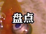 黄金价格贵，那就养金色的鱼