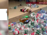 网红捡瓶子小狗“小白”疑被毒狗团伙盯上，主人：根本不敢放它出去