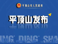 陈向平到湛河区调研