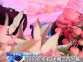 夏季鲜果大量上市 挑选有诀窍