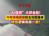 今年涨幅居前的主动型基金，持仓逻辑高度一致！