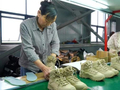 河南襄城优化营商环境 赋能县域经济发展
