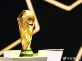 没有国足参与的世界杯，中国球迷的热情还能支撑天价版权吗？
