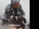 四川赵公山志愿者救起失温小熊，终因虚弱死亡，尸体捐作教学标本