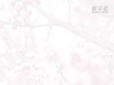 美丽中国行丨执绿色之笔，绘美丽中国