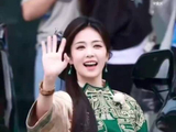 白鹿墨绿色新中式造型又甜又飒