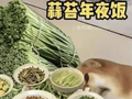 “黑心商家，我拍了五斤给我发十斤”