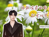 走花路！用张峻豪的歌声打开北京花海