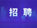 宁津县事业单位引进20人，5月25日开始报名