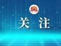 连开两天！“东北超” 大市集来了！美食、文创、巨虎“东东”......