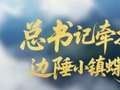 学习·故事丨总书记牵挂的边陲小镇蝶变