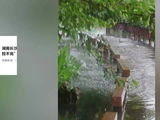 长沙大雨过后，湖水漫过一公园栈道，大鱼不停往上跳，“捡都捡不完”