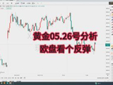 20260526黄金行情分析