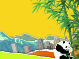 探秘大熊猫国家公园第1集：国家公园只是“大公园”吗