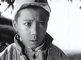 著名导演、演员蔡元元去世，享年84岁，《鸡毛信》中“海娃”成银幕经典形象