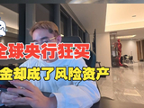 全球央行狂买，黄金却成了风险资产