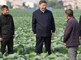 总书记引领强国之路｜加快农业农村现代化步伐