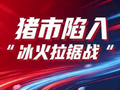 猪市陷入“冰火拉锯战”！