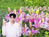用张艺兴歌声祝高考语文笔下生花