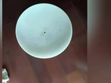 “我都想卖房了”！杭州一小区业主家遭飞虫入侵，窗帘全换成纱窗都没用