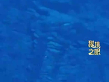 首次披露“蛟龙号”拍到的海底2000米神奇生物
