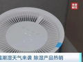 除湿机热销！企业满负荷生产：“中国、美国都卖断货了”