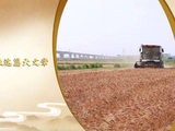 【习声回响】做好盐碱地特色农业这篇大文章