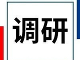 铁水产量环比增加，下期铁矿石价格或偏弱震荡