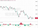 黄金分析 26.7.1
