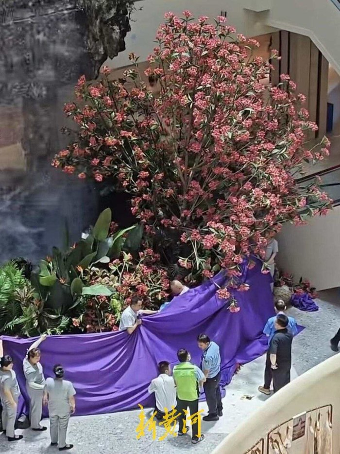 图片来源于网络