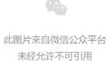 6月基金月报| 科技板块领跑股市，公募基金多数收涨