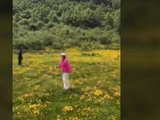稻城亚丁多人下栈道在草甸拍照，男子大声劝阻“出来玩要讲素质”