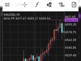 8月23日。黄金下周继续北上？