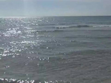 美国一飞机因故障海上迫降，23岁女飞行员游向海滩获救