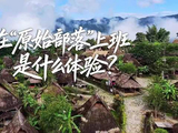 在 “原始部落” 上班是什么体验？
