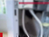 男子维修空调发现线全被咬坏，打开后发现母鼠正给4只鼠仔喂奶
