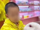 坠亡幼童母亲希望丈夫补偿自己