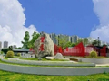 百千万·聚合力｜全民参与，建和美家园！环市街聚贤力绘就城乡新画卷