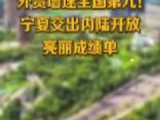 外贸增速全国第九！宁夏交出内陆开放亮丽成绩单丨活力中国调研行