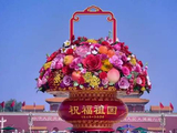 视频｜天安门广场“祝福祖国”巨型花篮主体完工