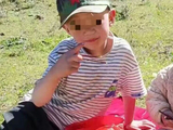 两幼童被蜇死，全身几百处伤口，养蜂人“不认罪、不认错、不道歉”