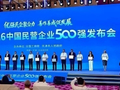 透过500强报告，读懂民营企业“生长”密码