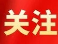 从五十棚到三千亩 一颗红果富乡土——“番茄书记”赵战秒的“初心答卷”