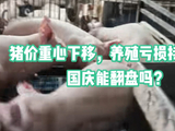 中秋节后猪价重心下移，养殖亏损持续扩大，国庆能翻盘吗？