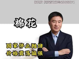 棉花：国家停止抛储，价格震荡偏强